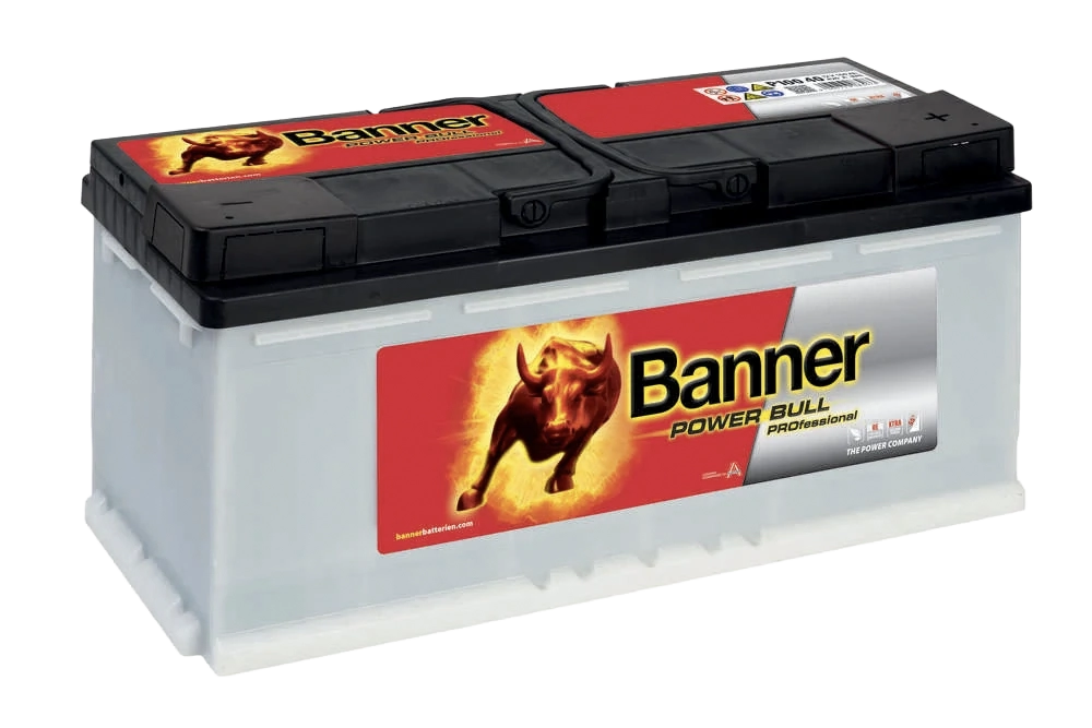 Banner Power Bull Professional