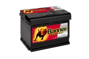BANNER Power Bull P6009