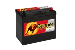 BANNER Power Bull P4523