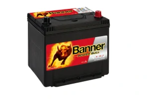 BANNER Power Bull P6062