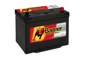 BANNER Power Bull P7029