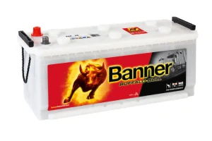 BANNER Buffalo Bull HD 62034
