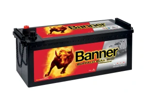 BANNER Buffalo Bull PROfesional SHD 64503