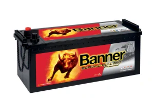 BANNER Buffalo Bull PROfesional SHD 72503