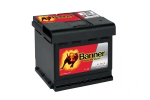 BANNER Power Bull P5003